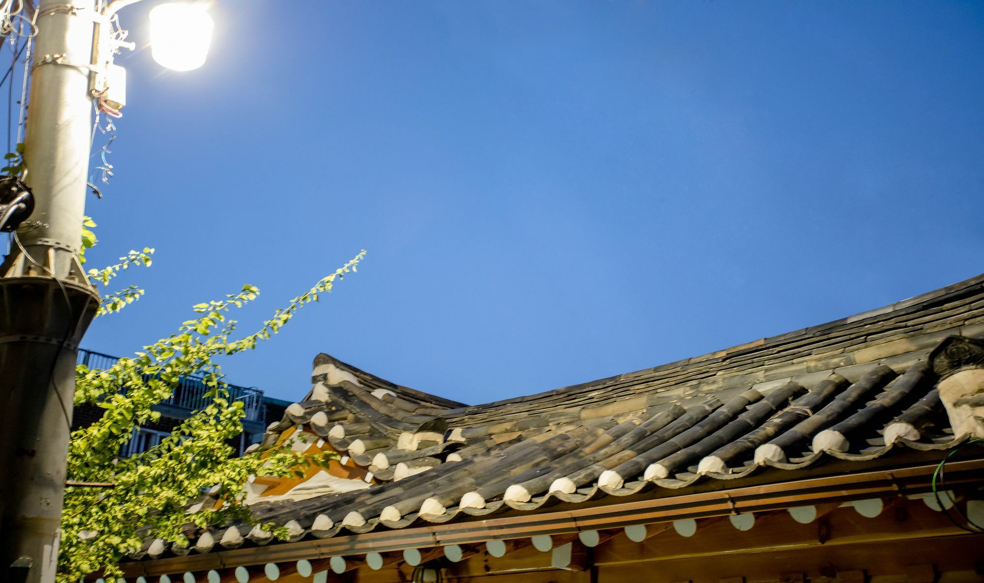 Guest house Vanilla 3 Dongdaemun